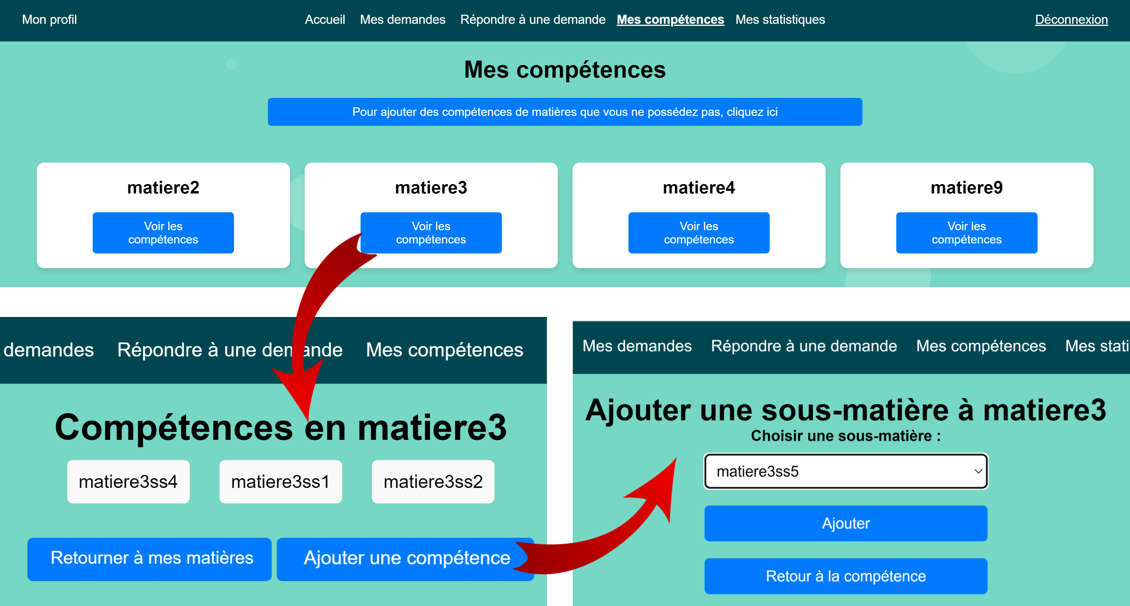 Mes compétences